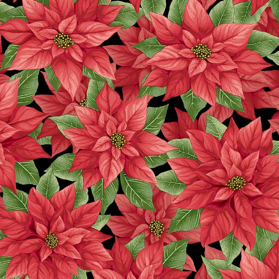 108" Quilt Backs Poinsettia Splendor Black & Red from Henry Glass 3 YARD CUT by Henry Glass