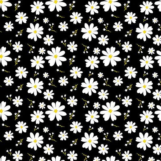Benartex Delightful Daisies Daisy Love Black 1 Yard Cut by Benartex