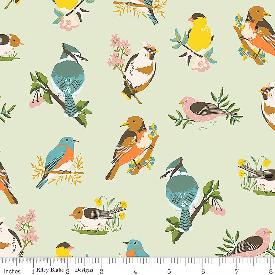 Riley Blake Winged Medley Birds Sage 1 Yard Cut by Riley Blake