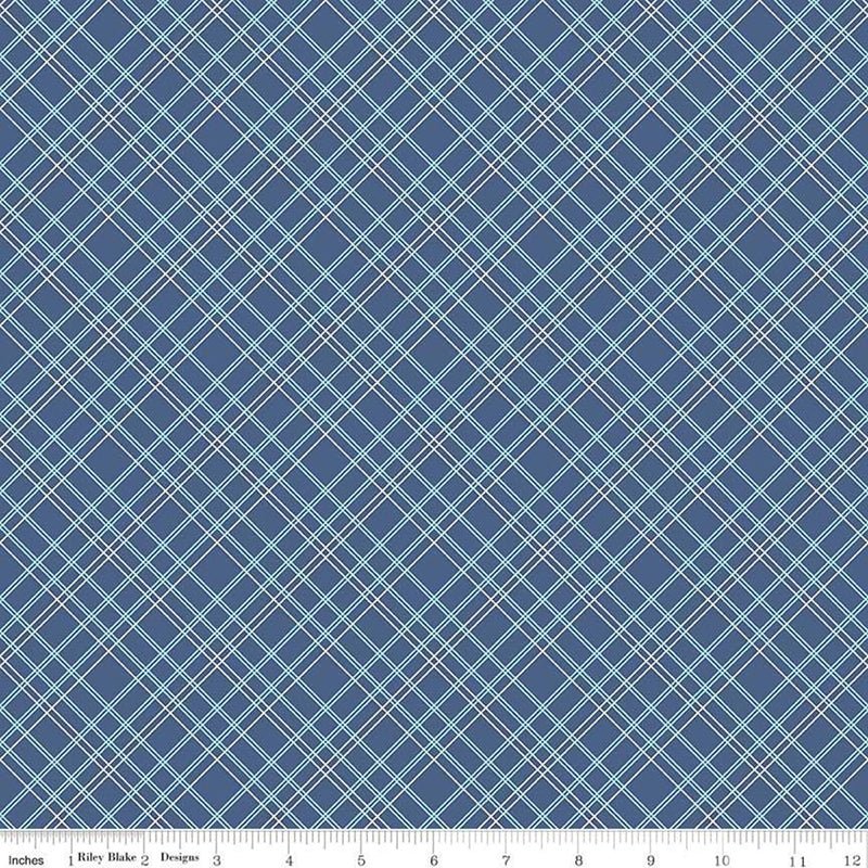 108" Quilt Backs Bee Backings & Borders Plaid Blue from Riley Blake 3 YARD CUT by Riley Blake