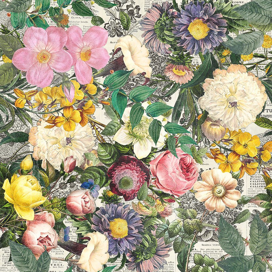 108" Wide Quilt Backing Tim Holtz Eclectic Elements Floristry from Free Spirit 3 YARD CUT by Free Spirit