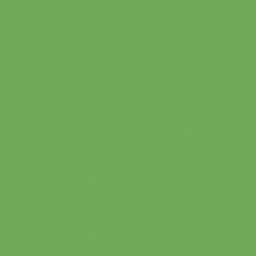 Riley Blake Confetti Cottons Riley Green 5 Yard Cut