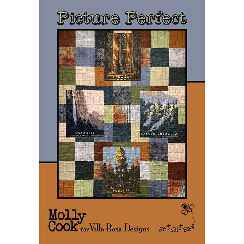 Picture Perfect Quilt Pattern by Villa Rosa Designs - Texas Pre-Cuts