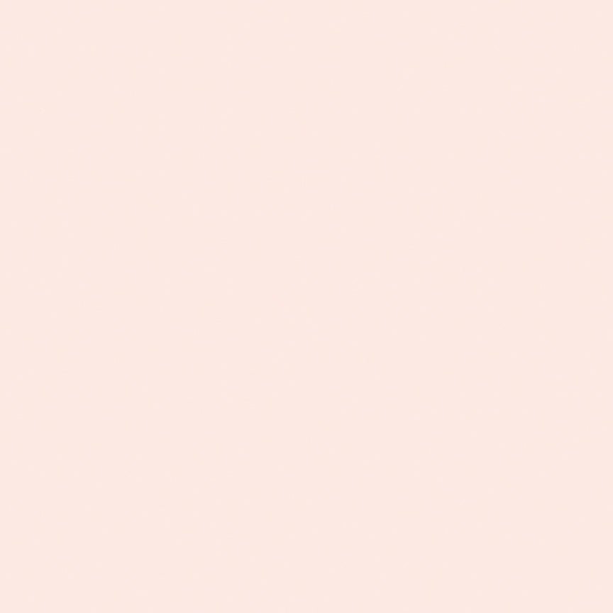 Confetti Cottons Ballerina FULL BOLT Special by Riley Blake
