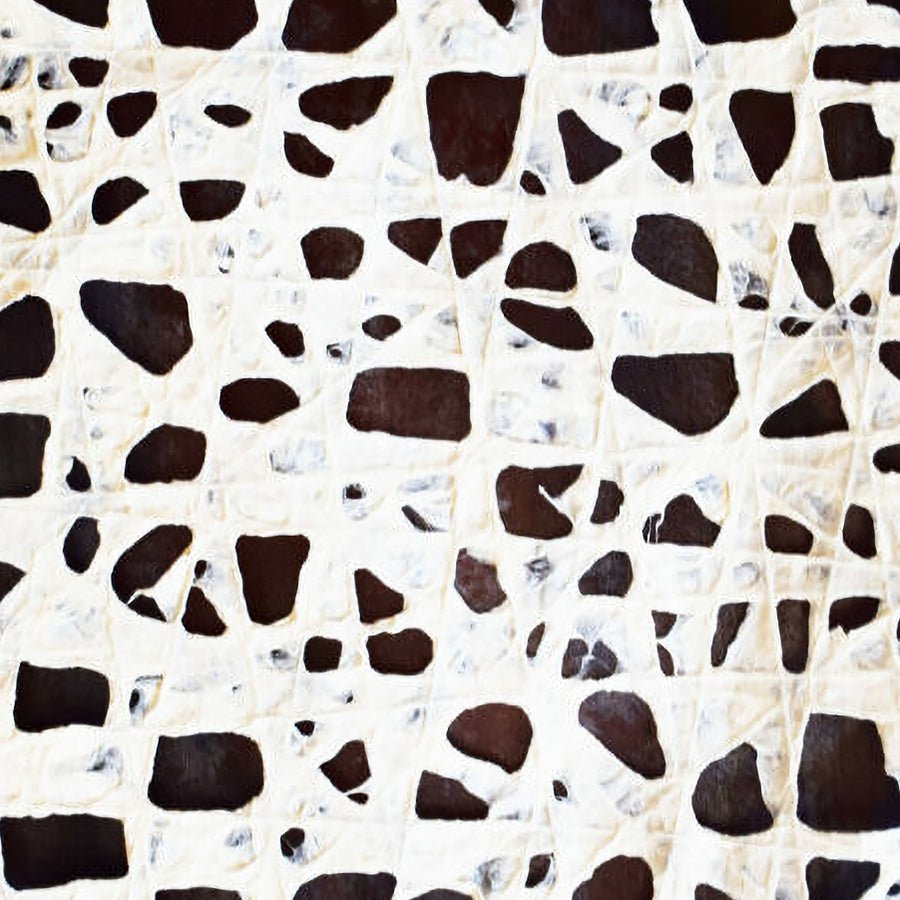 Northcott Amok Spots Cream/Brown 1 Yard Cut by Northcott
