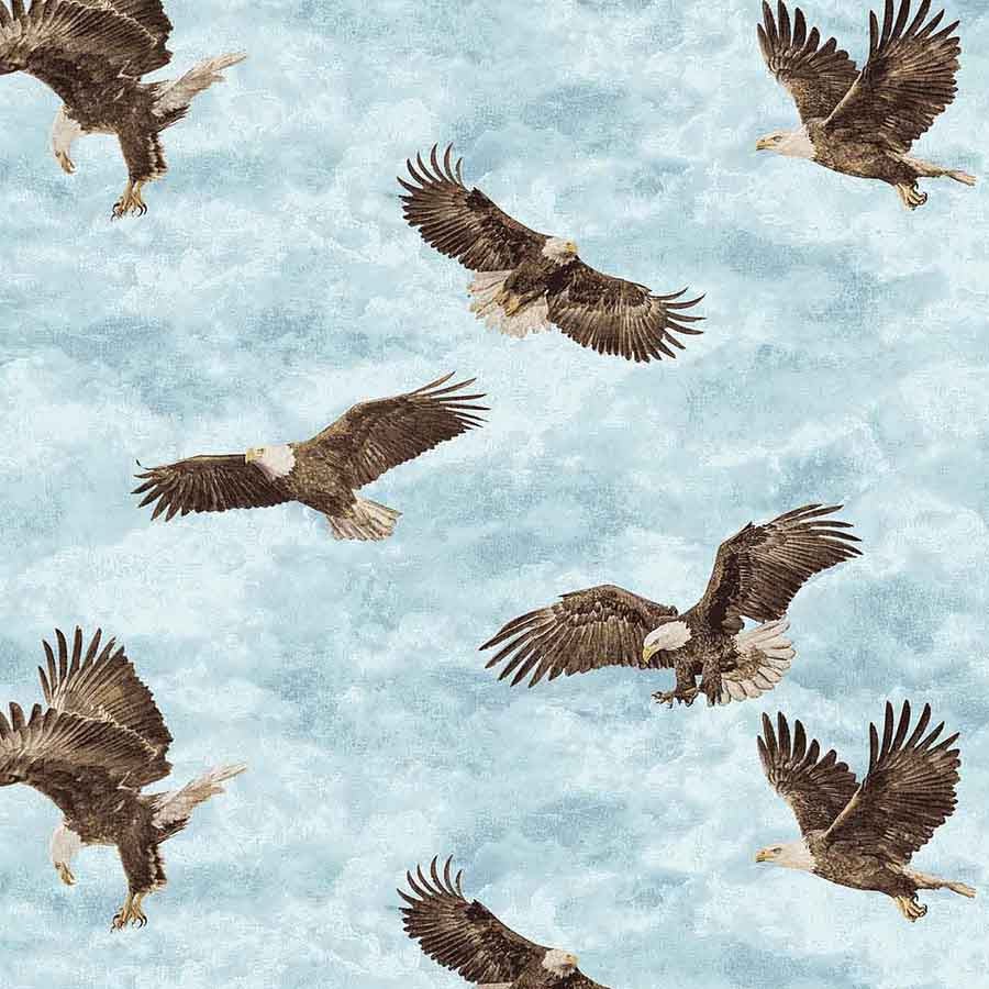 Northcott Stonehenge Eagle Pass Eagles Light Blue Multi 1 Yard Cut by Northcott