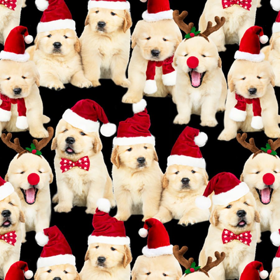 Timeless Treasures Holiday Favorites Lab Puppies Black 1 Yard Cut by Timeless Treasures